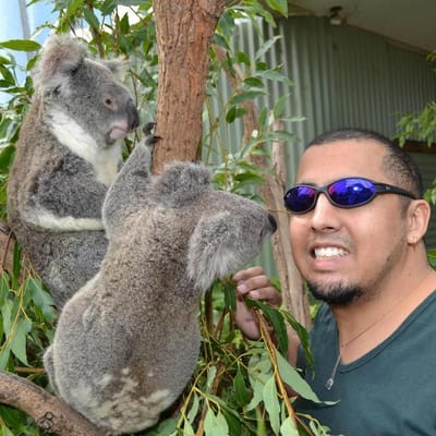 Álvaro ao lado de um coala agarrado a um galho de eucalipto.